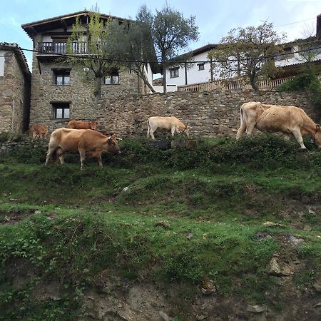 Casa Tia Upe Villa San Román de Cameros Esterno foto